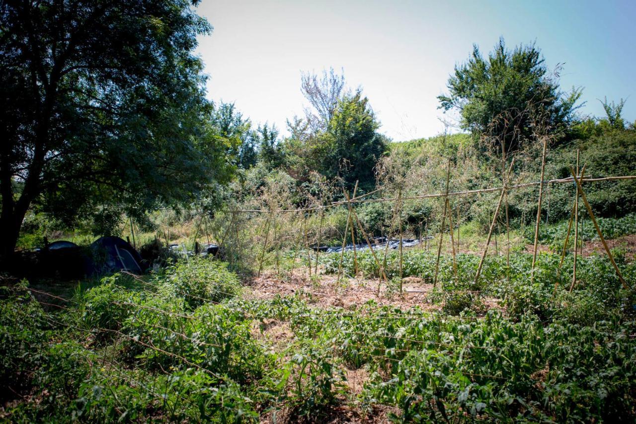 Tente En Permaculture Pirate Creysse  Zewnętrze zdjęcie